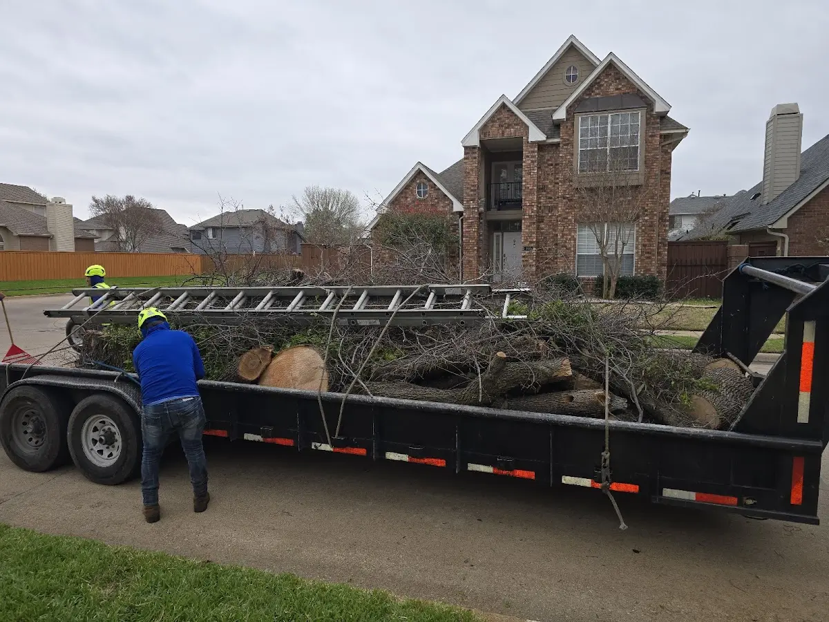 Expert Tree Removal with proper safety equipment in Fisherville